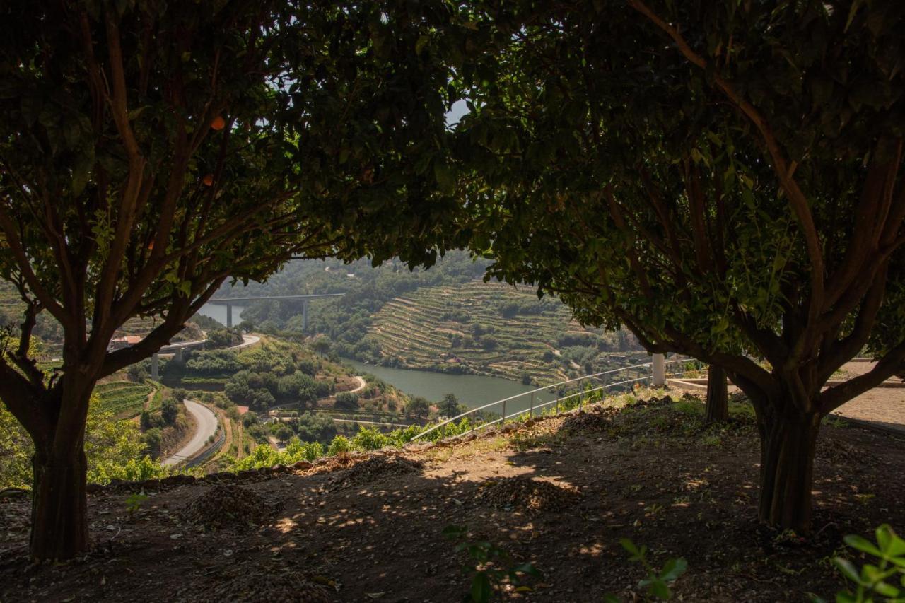 Quinta da Granja Apartment Baiao Bagian luar foto