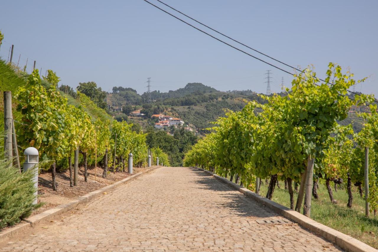 Quinta da Granja Apartment Baiao Bagian luar foto